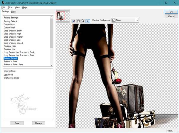 Afbeelding met tekst, schermopname, schoeisel, computer  Automatisch gegenereerde beschrijving